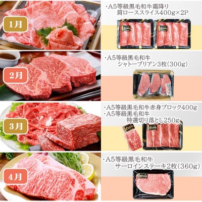 定期便(12回)鹿児島県産A5等級黒毛和牛三昧 JJ-0017