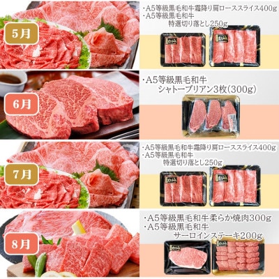 定期便(12回)鹿児島県産A5等級黒毛和牛三昧 JJ-0017