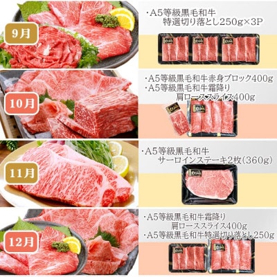 定期便(12回)鹿児島県産A5等級黒毛和牛三昧 JJ-0017