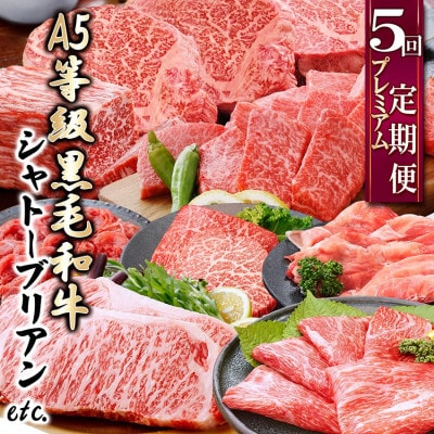 定期便(5回配送)A5等級黒毛和牛シャトーブリアン・サーロインステーキetc GG-0030