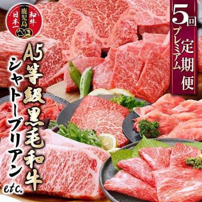定期便(5回配送)A5等級黒毛和牛シャトーブリアン・サーロインステーキetc GG-0030
