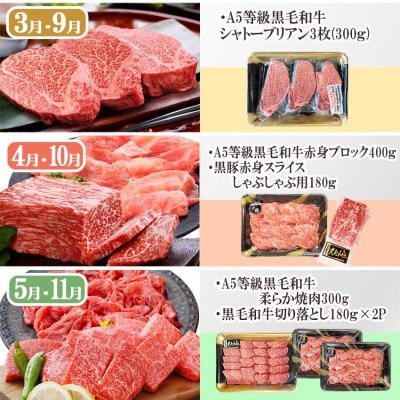 定期便(5回配送)A5等級黒毛和牛シャトーブリアン・サーロインステーキetc GG-0030