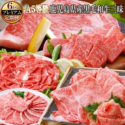 定期便(6回配送)A5等級鹿児島県産黒毛和牛三昧 II-0016