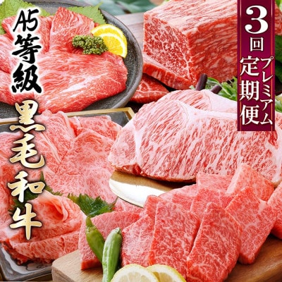 プレミアム　A5等級黒毛和牛定期便(3回配送) FF-0055