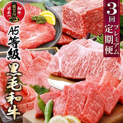 プレミアム A5等級黒毛和牛定期便(3回配送) FF-0055
