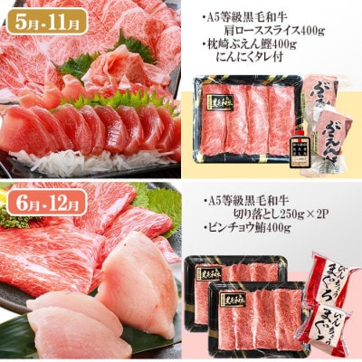 定期便(6回)枕崎お楽しみ便(A5等級黒毛和牛・まぐろ・かつおetc) GG-0046
