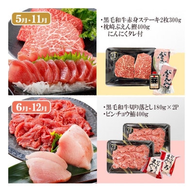 定期便(6回)枕崎お楽しみ便(黒毛和牛・まぐろ・かつおetc) GG-0046