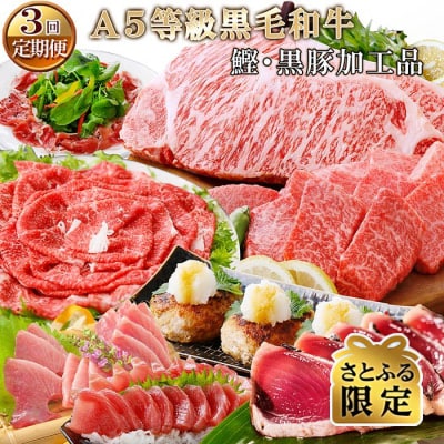 【さとふる限定】定期便(3回配送)枕崎お楽しみ(A5等級黒毛和牛&かつお・黒豚加工品)EE-0056 | ふるさと納税のお礼品