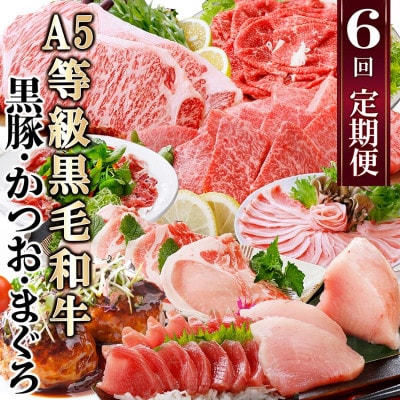 定期便(6回)A5等級黒毛和牛・黒豚・かつお・まぐろ FF-0058