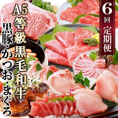 定期便(6回)A5等級黒毛和牛・黒豚・かつお・まぐろ FF-0058