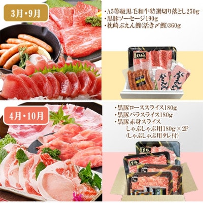 定期便(6回)A5等級黒毛和牛・黒豚・かつお・まぐろ FF-0058
