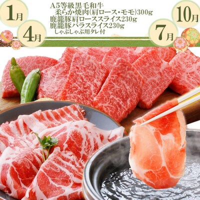 定期便(3回配送)　毎月A5等級黒毛和牛&鹿籠豚(枕崎産黒豚)　「数量限定」 EE-0072