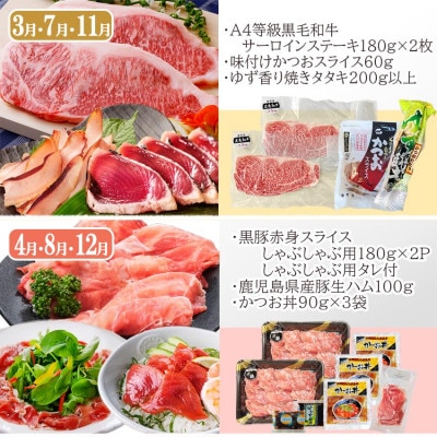 定期便(4回配送)黒毛和牛&黒豚・かつお・さつまあげ NN-0040