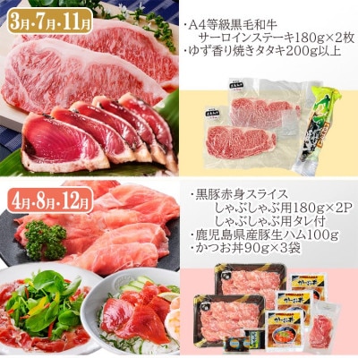 定期便(4回配送)黒毛和牛&黒豚・かつお・さつまあげ NN-0040