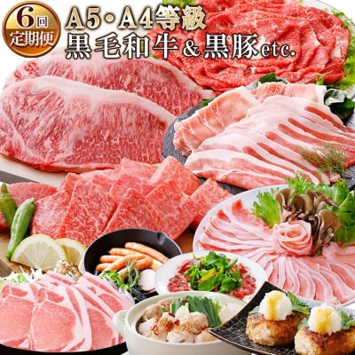 定期便(6回)A5・A4等級黒毛和牛・黒豚etc FF-0061