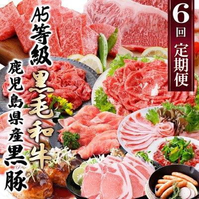 定期便(6回)A5・A4等級黒毛和牛・黒豚etc FF-0061