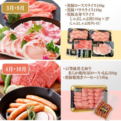 定期便(6回)A5・A4等級黒毛和牛・黒豚etc FF-0061