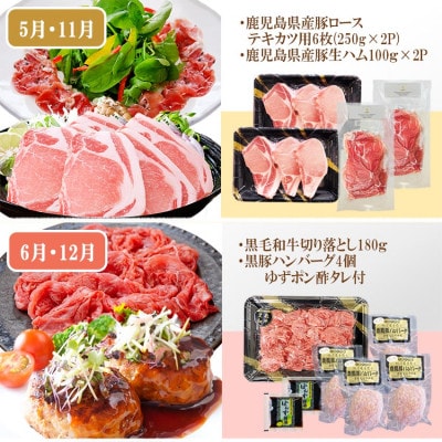 定期便(6回)A5・A4等級黒毛和牛・黒豚etc FF-0061