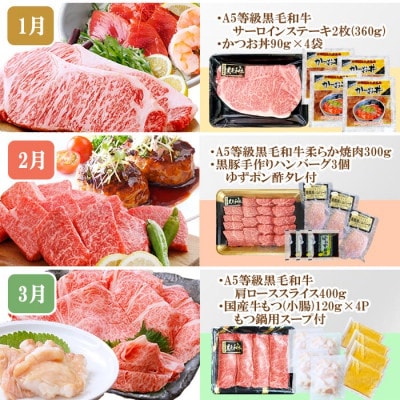 定期便(10回)枕崎お楽しみ便(黒毛和牛・黒豚・まぐろ・かつお・さつまあげ等)II-0025