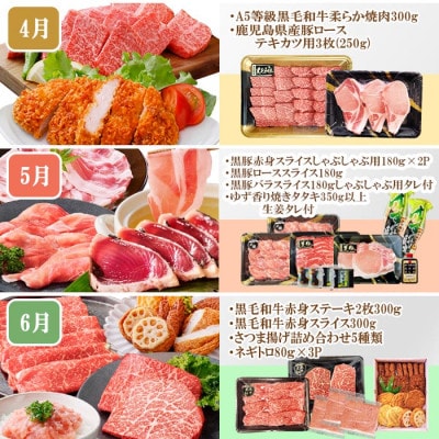定期便(10回)枕崎お楽しみ便(黒毛和牛・黒豚・まぐろ・かつお・さつまあげ等)II-0025