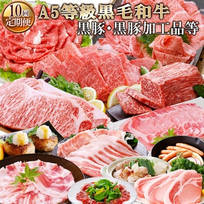 定期便(10回配送)お楽しみ便(A5等級黒毛和牛・黒豚・黒豚加工品等) HH-6003