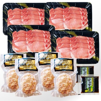 【お歳暮・のし付き】 鹿籠豚手作りハンバーグ&鹿児島県産豚ローススライス4P A3-142S