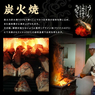 一本釣りゆず香り焼きタタキ800g(タレ付き) A0-23