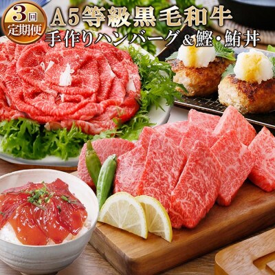 定期便(3回配送)枕崎お楽しみ便(A5黒毛和牛・手作りハンバーグ・まぐろ　かつお丼) LL-6005