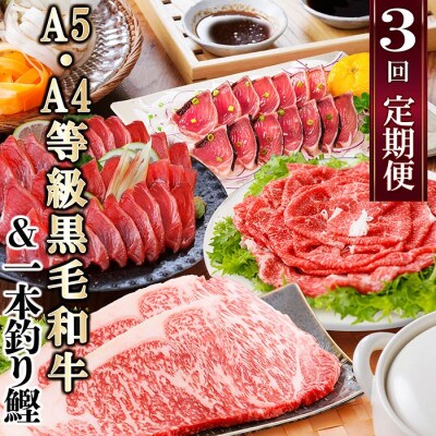 定期便(3回配送)枕崎お楽しみ便(黒毛和牛サーロイン・一本釣りかつおたたき・さしみ) LL-6006