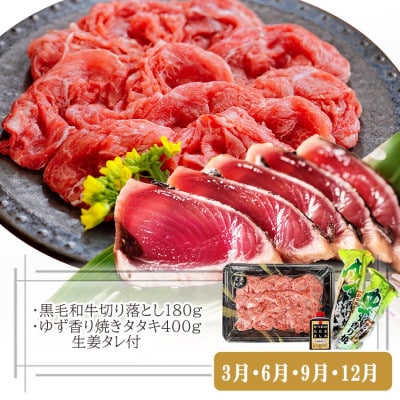 定期便(3回配送)枕崎お楽しみ便(黒毛和牛サーロイン・一本釣りかつおたたき・さしみ) LL-6006