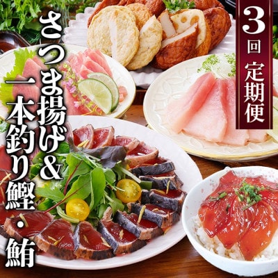 定期便(半年で3回)さつま揚げ&鮮度抜群な一本釣りかつお・まぐろ LL-6007
