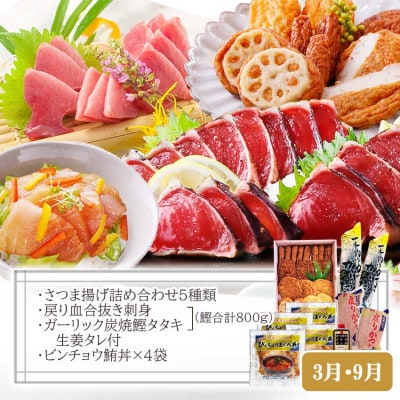 定期便(半年で3回)さつま揚げ&鮮度抜群な一本釣りかつお・まぐろ LL-6007