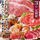 定期便(3回配送)枕崎お楽しみ便(黒毛和牛・かつお・黒豚加工品・さつまあげetc) LL-6008
