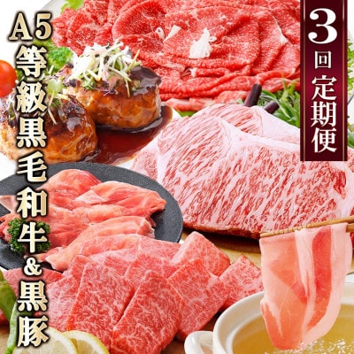 定期便(3回配送)鹿児島産A5等級黒毛和牛&黒豚 EE-6014