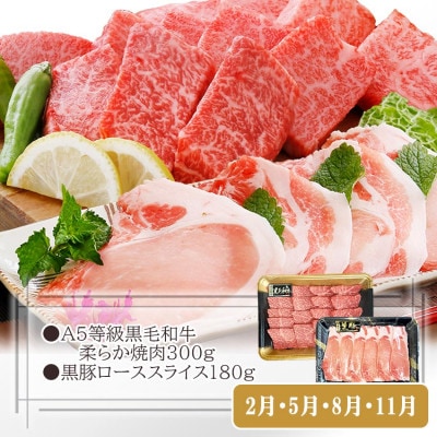 定期便(3回配送)鹿児島産A5等級黒毛和牛&黒豚 EE-6014