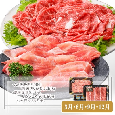 定期便(3回配送)鹿児島産A5等級黒毛和牛&黒豚 EE-6014