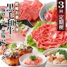 定期便【3回配送】枕崎お楽しみ便(A5黒毛和牛・豚ロース・黒豚ハンバーグ・かつお丼)LL-6037