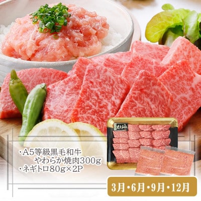 定期便【3回配送】枕崎お楽しみ便(A5黒毛和牛・豚ロース・黒豚ハンバーグ・かつお丼)LL-6037