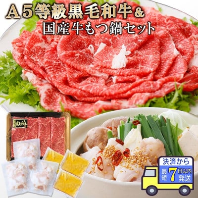 【7日以内発送】鹿児島県産黒毛和牛&国産牛もつ鍋セット A3-136E