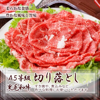 【7日以内発送】鹿児島県産黒毛和牛&国産牛もつ鍋セット A3-136E