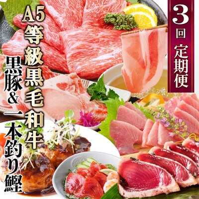 定期便(3回配送)黒毛和牛・黒豚・カツオ LL-6036