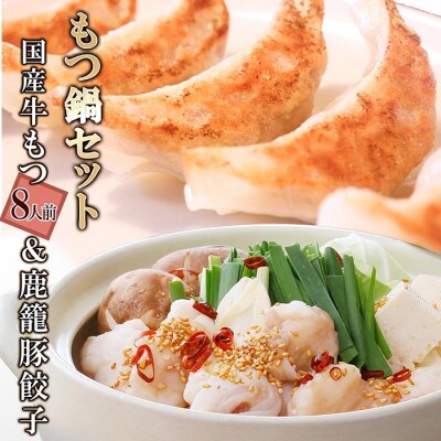 鹿児島産国産牛もつ8人前&鹿籠豚ぎょうざ A3-138