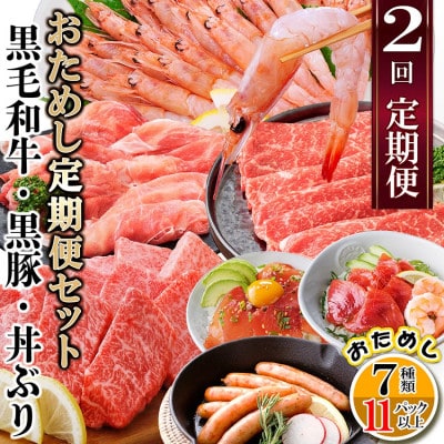 定期便2回配送　鹿児島県産黒毛和牛・黒豚・漬丼　お試し定期便セット DD-6007