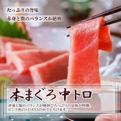 【数量限定】まぐろと鹿児島産ローステキカツ A6-67
