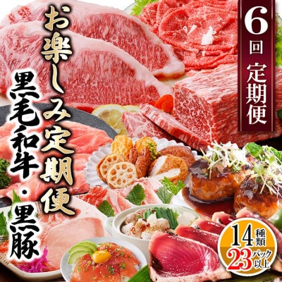 定期便(6回配送)　枕崎お楽しみ定期便(黒毛和牛・黒豚・加工品etc) FF-6003