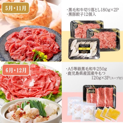 定期便(6回配送)　枕崎お楽しみ定期便(黒毛和牛・黒豚・加工品etc) FF-6003