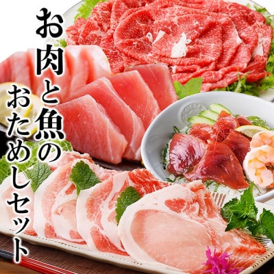 お肉と魚のお試しセット A6-68