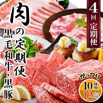 定期便4回配送　肉の定期便 EE-6016