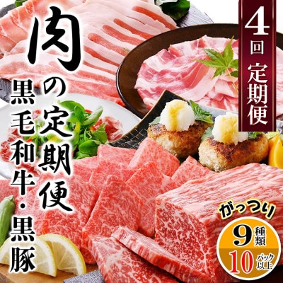 定期便4回配送　肉の定期便 EE-6016