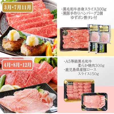 定期便4回配送　肉の定期便 EE-6016